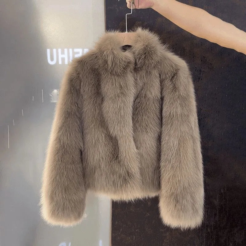 New Imitate Fox Hair Environmental Protection Fur Autumn/Winter Stand Collar Short Fur Coat Women's Thick Warm Jacket Brown